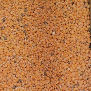 lentille corail vrac