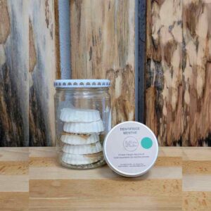 Dentifrice solide menthe